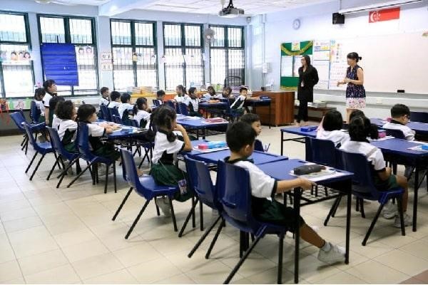 Đi du học bậc Tiểu học (từ 6 đến 11 tuổi)
